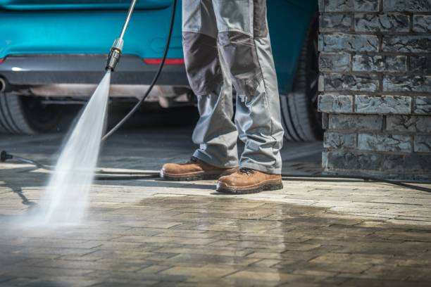 Best Soft Washing  in Rpinteria, CA